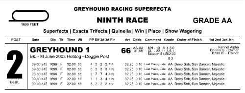 Greyhound Race Card